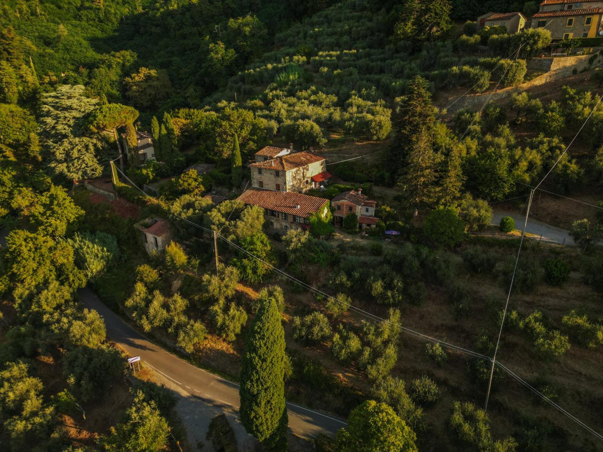 Orto Dei Bruchi Apartment Collodi Exterior photo